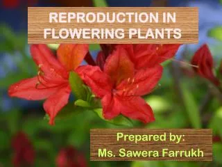 REPRODUCTION IN FLOWERING PLANTS