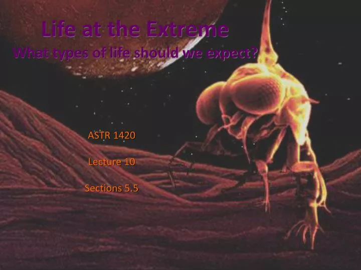 life at the extreme what types of life should we expect