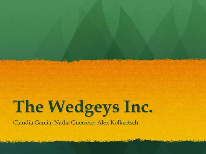 the wedgeys inc