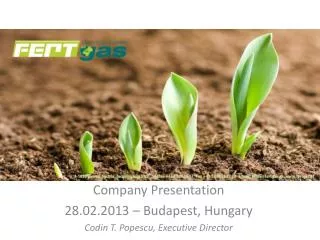 Company Presentation 28.02.2013 – Budapest, Hungary Codin T. Popescu, Executive Director