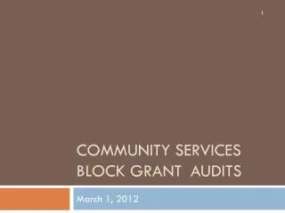 Community Services Block Grant	Audits