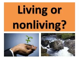 Living or nonliving?