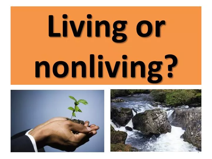 living or nonliving