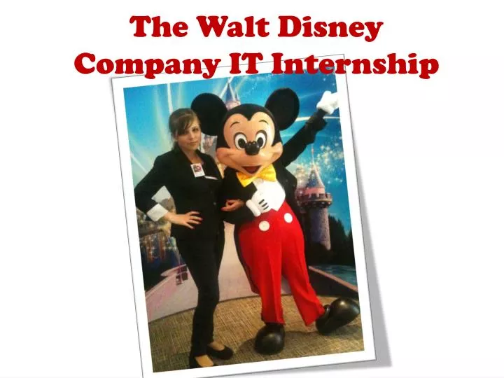 the walt disney company it internship