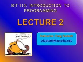 BIT 115 : Introduction To Programming LECTURE 2