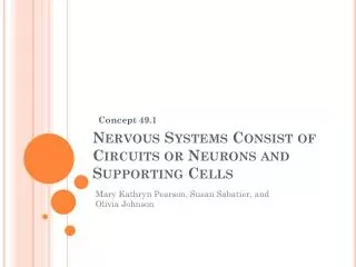 Nervous Systems Consist of Circuits or Neurons and Supporting Cells