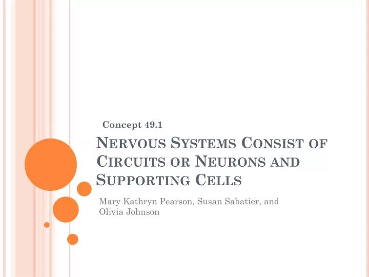 nervous systems consist of circuits or neurons and supporting cells