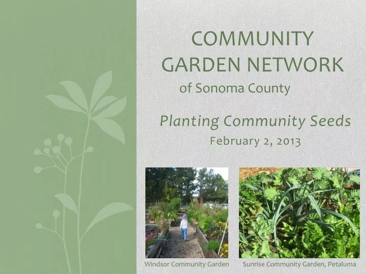 community garden network o f s onoma c ounty