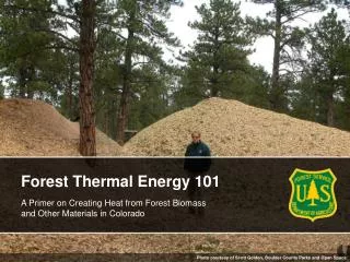 Forest Thermal Energy 101 A Primer on Creating Heat from Forest Biomass and Other Materials in Colorado