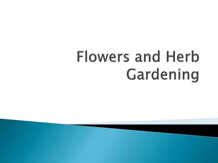flowers and herb gardening