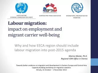 Labour migration: impact on employment and migrant carrier well-being