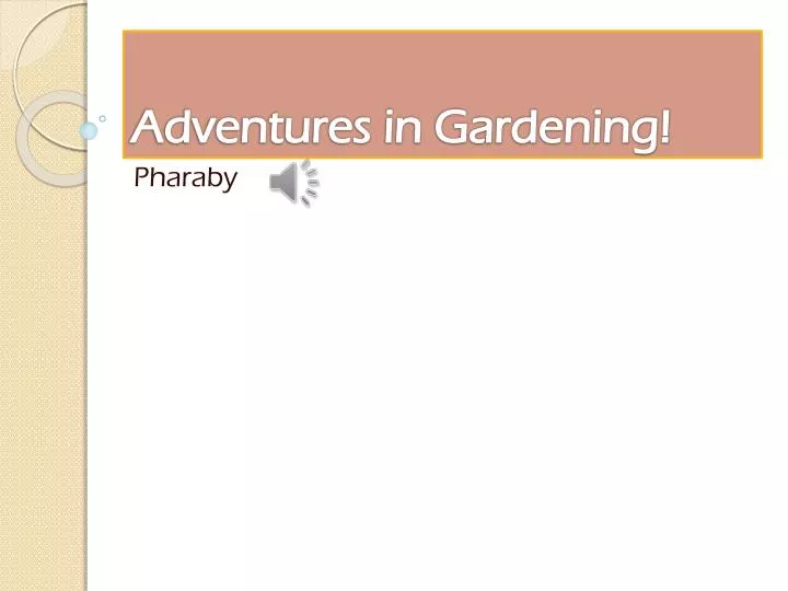 adventures in gardening