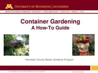Container Gardening A How-To Guide