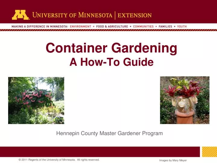 container gardening a how to guide