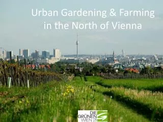 Urban Gardening &amp; Farming in the North of Vienna