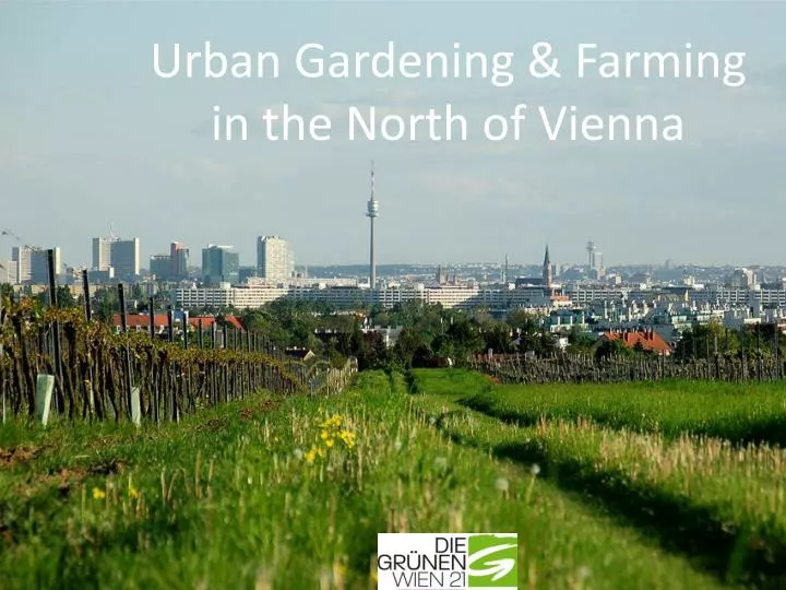 urban gardening farming in the north of vienna