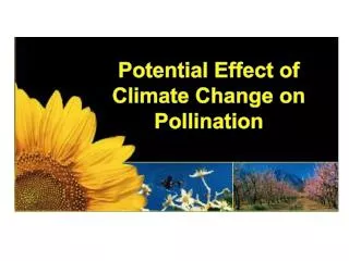 Potential Effect of Climate Change on Pollination