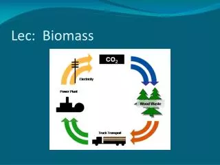 Lec : Biomass