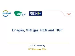 21 st SG meeting 19 th February 2014