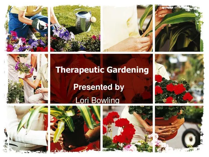 therapeutic gardening
