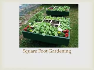 Square Foot Gardening