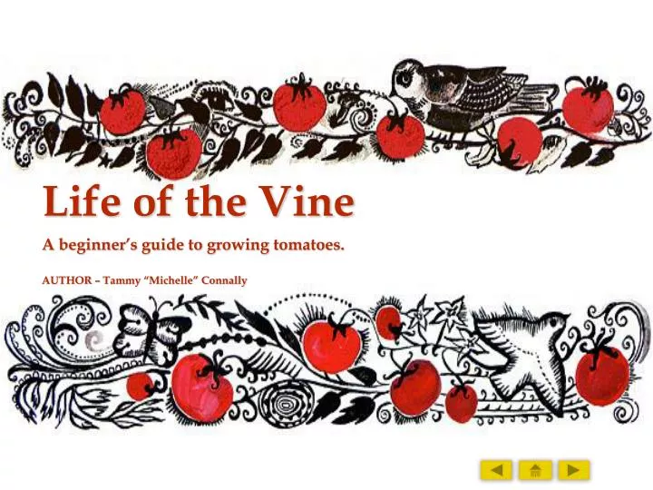 life of the vine
