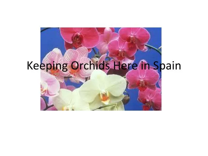 keeping orchids here in spain