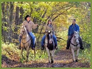 Ready to Ride Continuing an active lifestyle with horses after an arthritis diagnosis