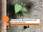 Ecological Restoration and Invasive Species