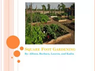 Square Foot Gardening