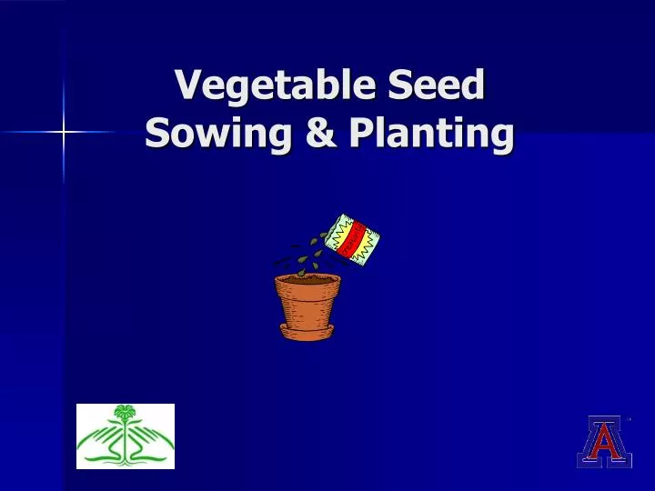 vegetable seed sowing planting