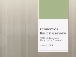 Economics Basics: a review