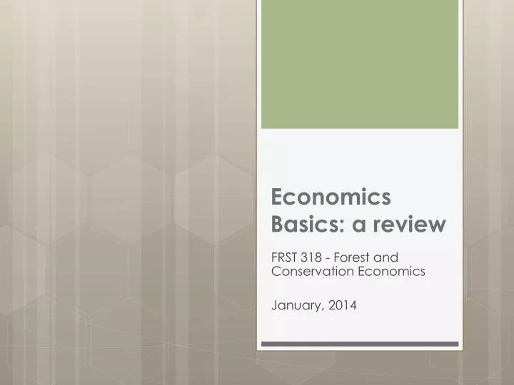 economics basics a review
