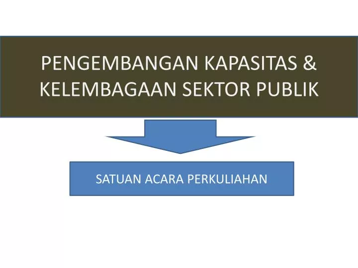 pengembangan kapasitas kelembagaan sektor publik