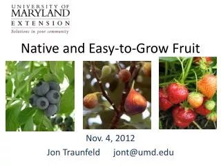 Native and Easy-to-Grow Fruit