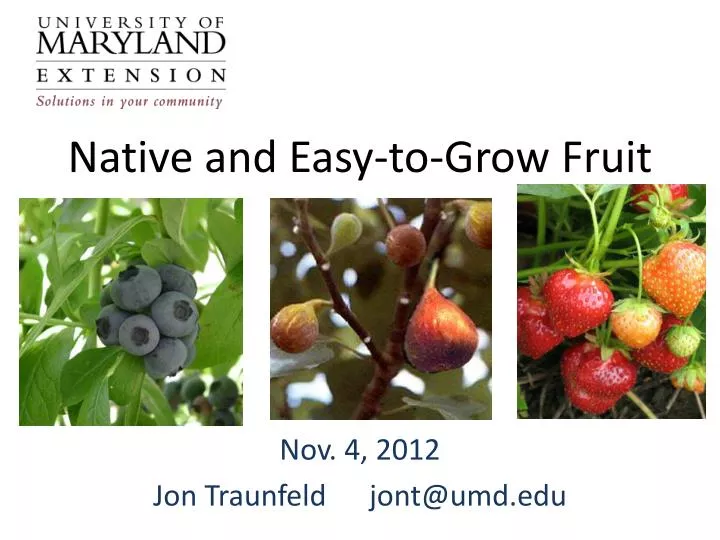 native and easy to grow fruit