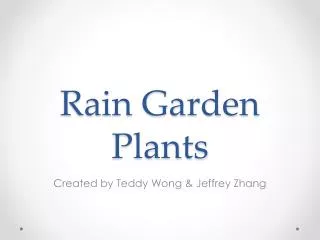 Rain Garden Plants