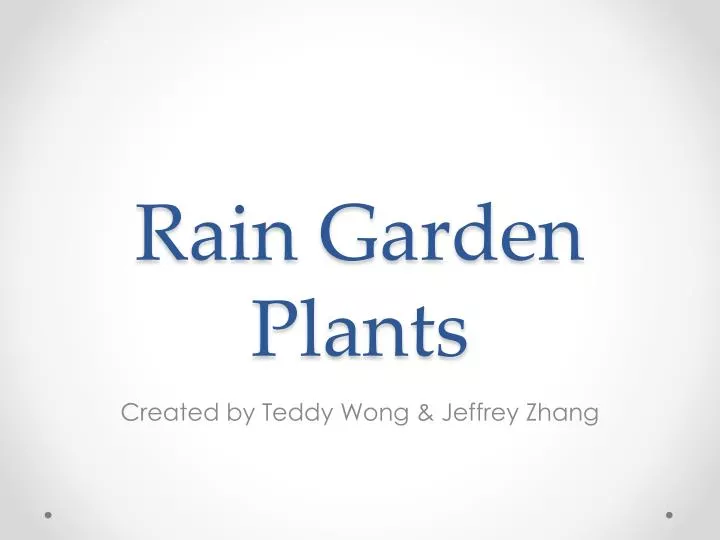 rain garden plants