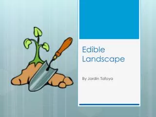 Edible Landscape