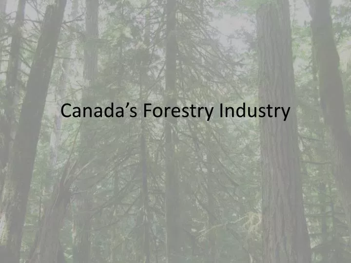 canada s forestry industry