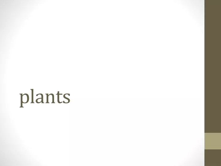 plants