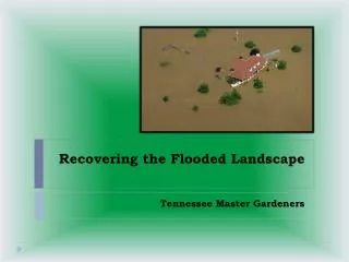 Recovering the Flooded Landscape