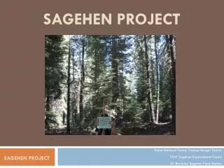 Sagehen Project
