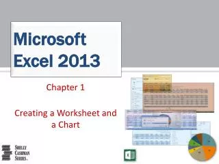 Microsoft Excel 2013