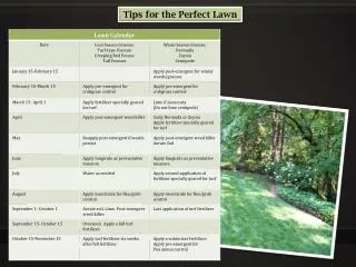 Tips for the Perfect Lawn