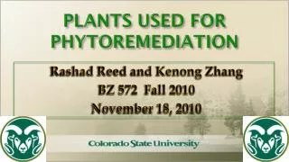 PLANTS USED FOR PHYTOREMEDIATION