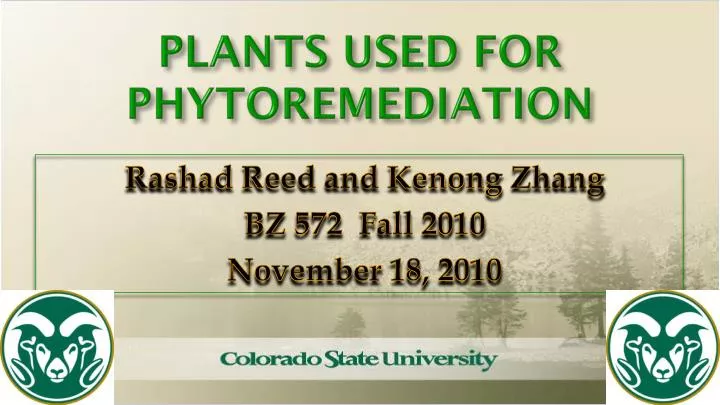 plants used for phytoremediation