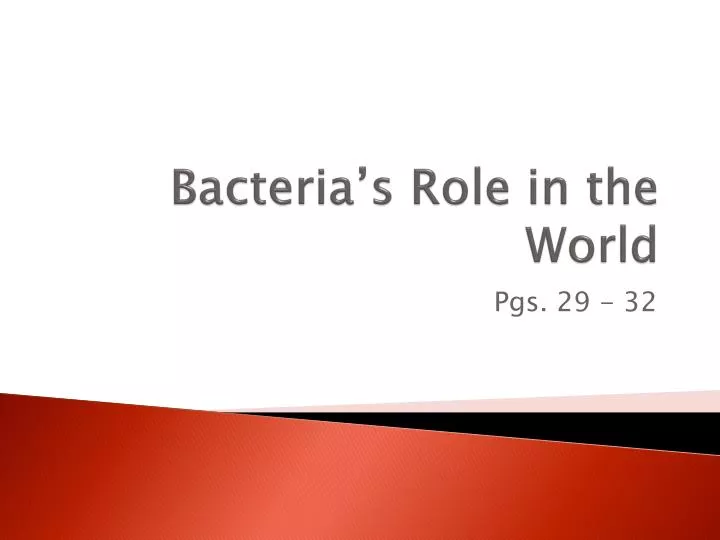 bacteria s role in the world