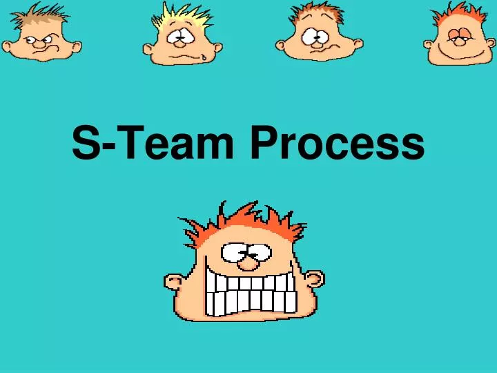 s team process