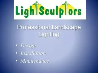 Professional Landscape Lighting